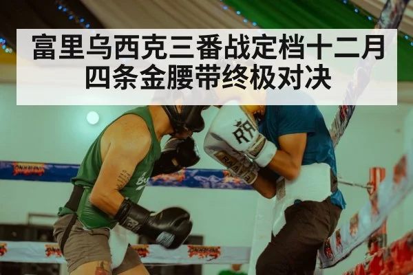 富里乌西克三番战定档十二月四条金腰带终极对决