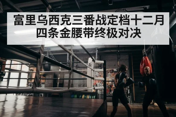 boxer training