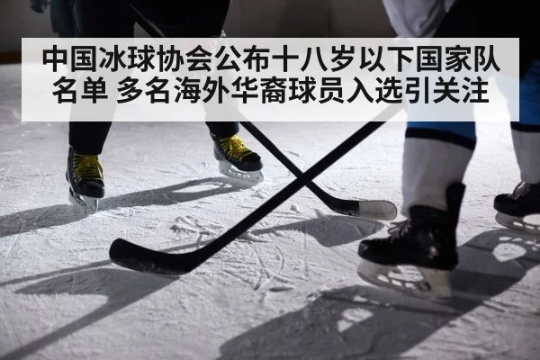 中国冰球协会公布十八岁以下国家队名单 多名海外华裔球员入选引关注
