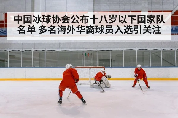chinese ice hockey team